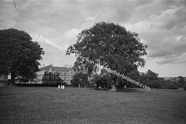 GOOD SHEPHERD CONVENT FROM W.